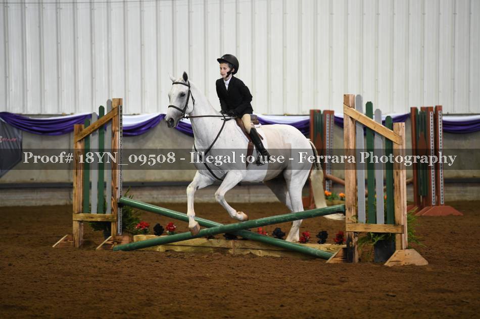 Proof 18YN_09508