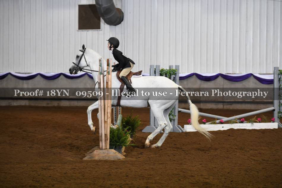 Proof 18YN_09509
