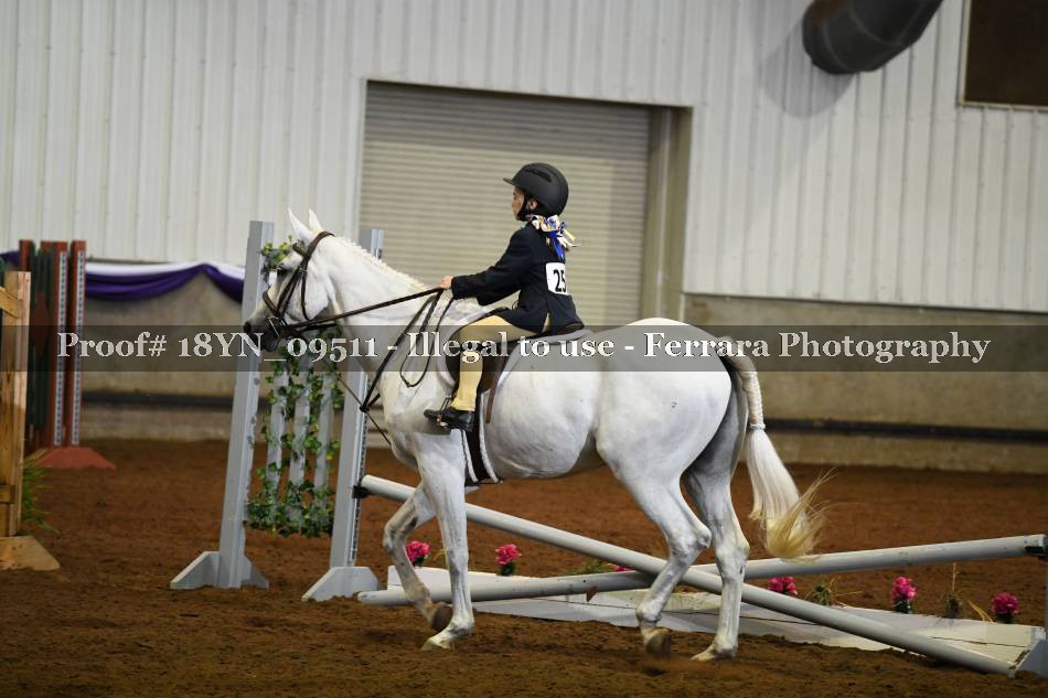 Proof 18YN_09511