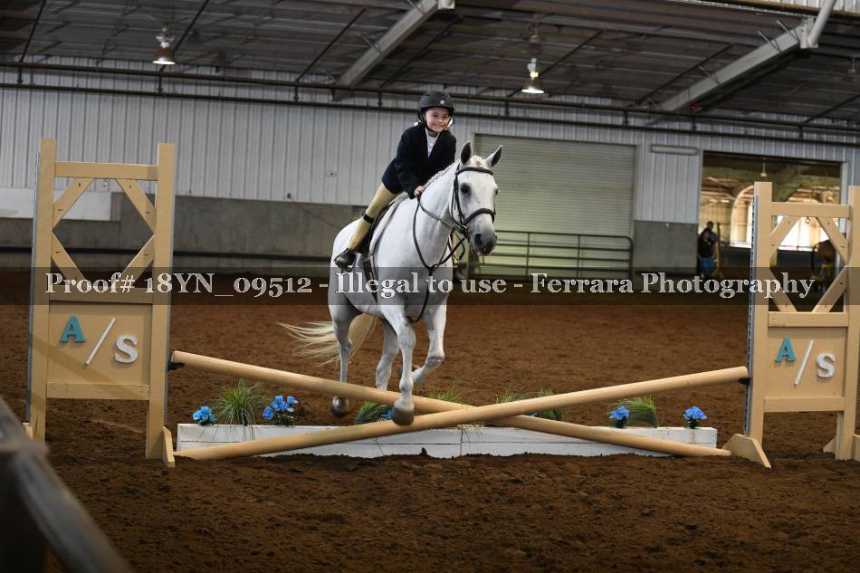 Proof 18YN_09512