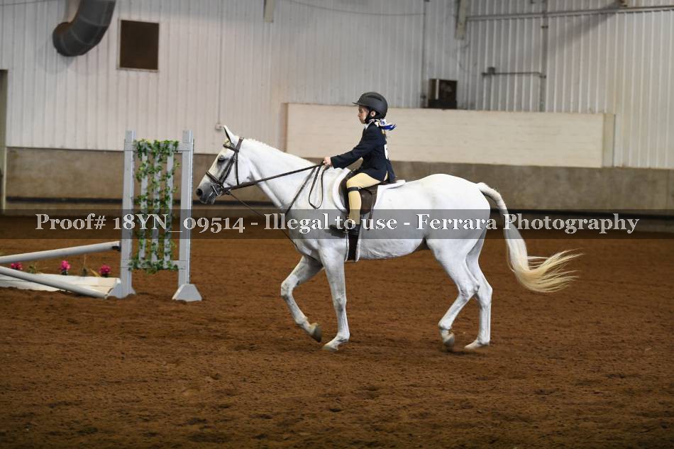 Proof 18YN_09514