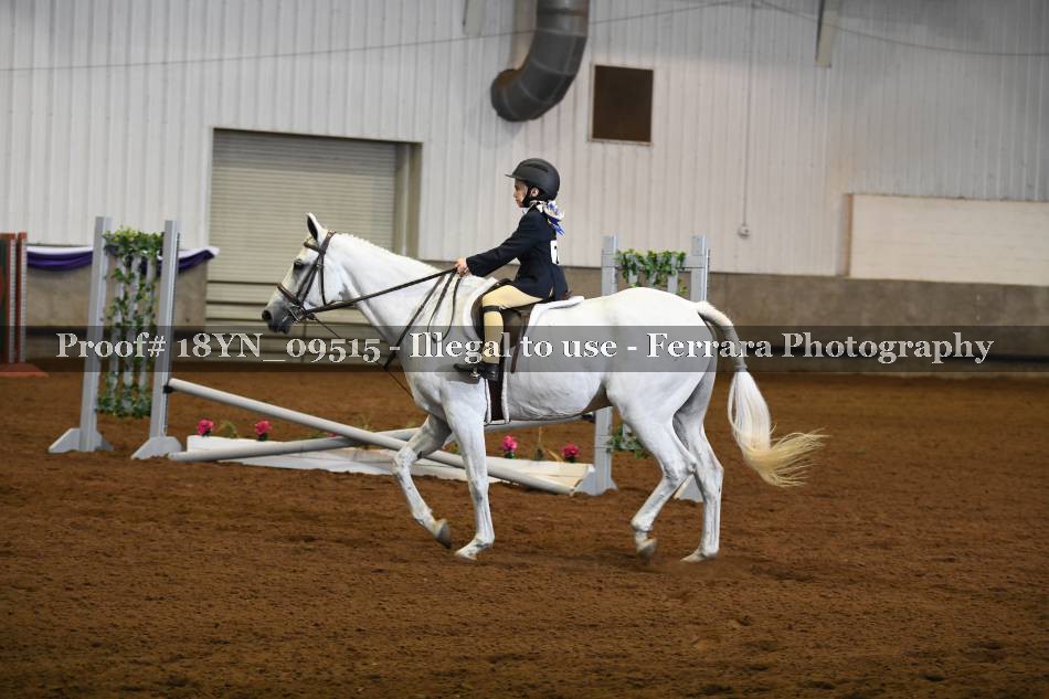 Proof 18YN_09515