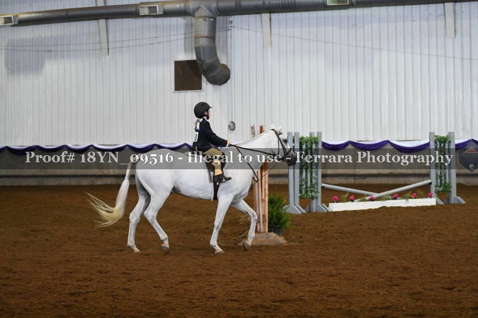 Proof 18YN_09516