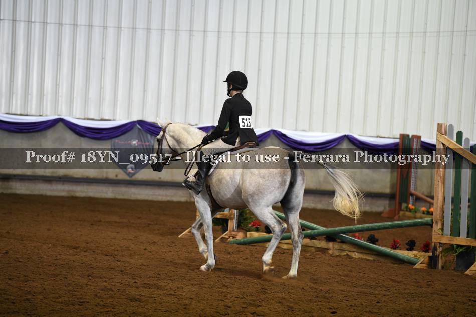 Proof 18YN_09517