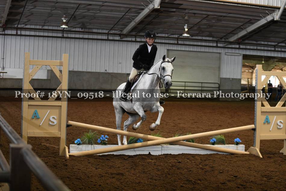 Proof 18YN_09518