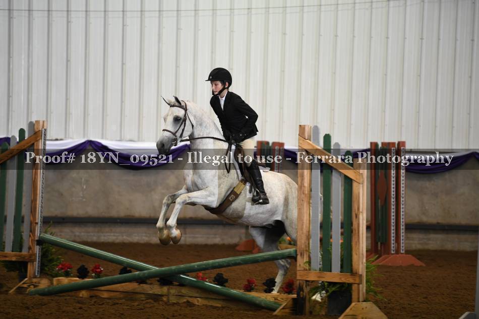 Proof 18YN_09521