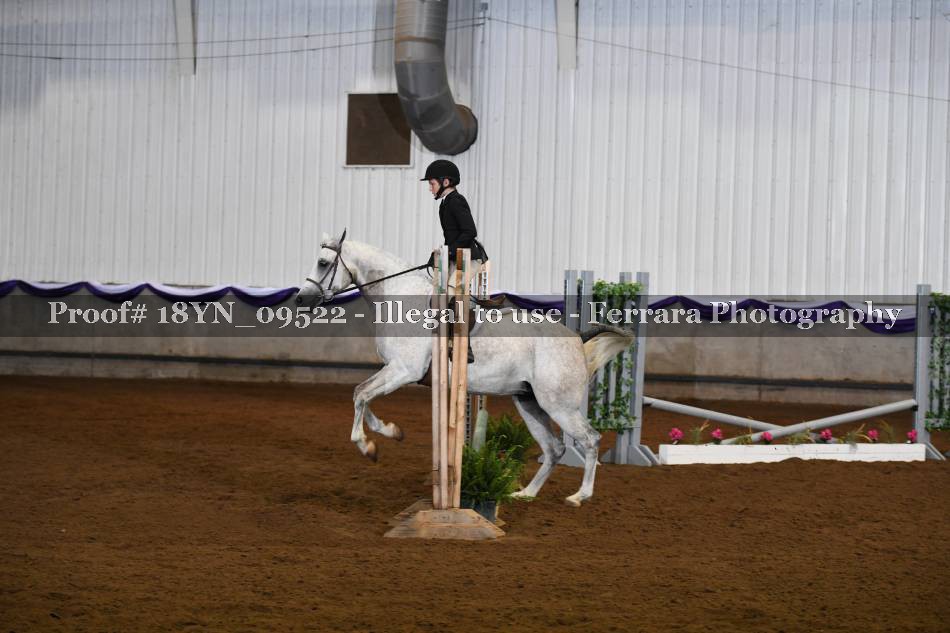 Proof 18YN_09522