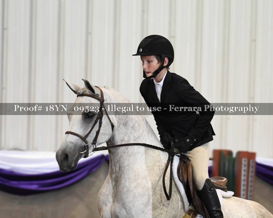 Proof 18YN_09523