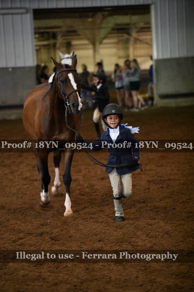 Proof 18YN_09524