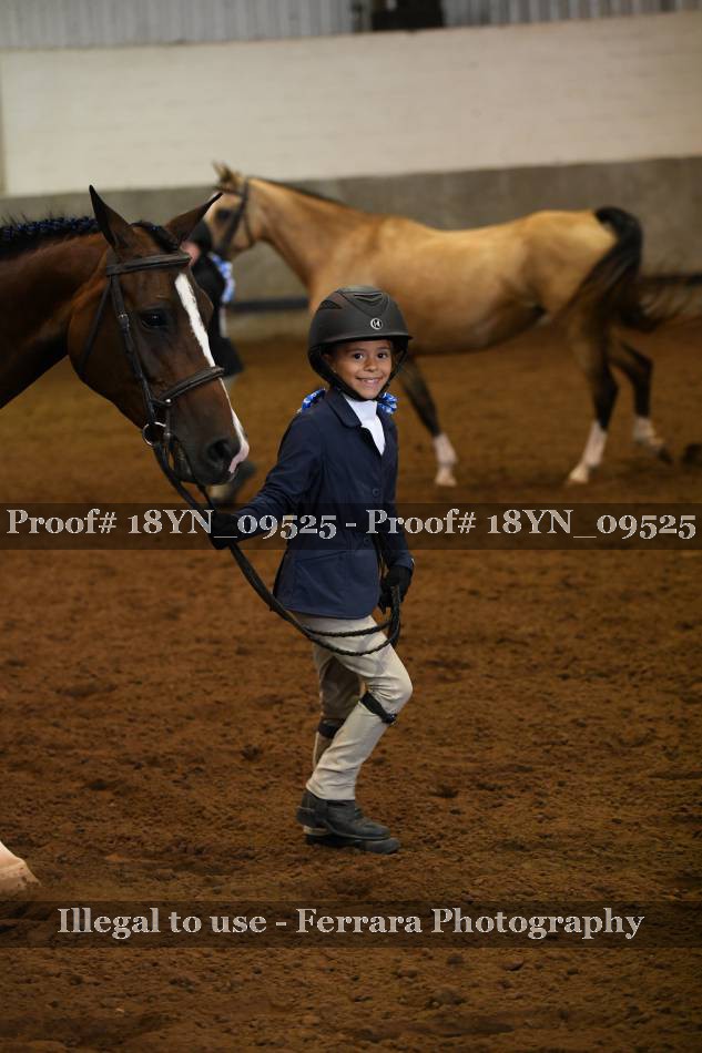 Proof 18YN_09525