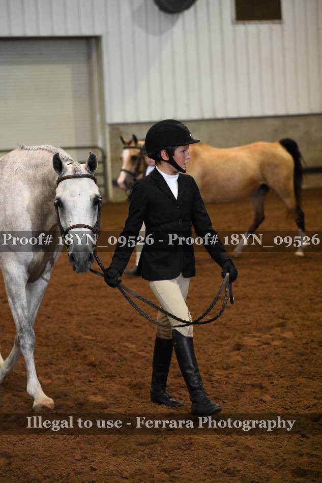 Proof 18YN_09526