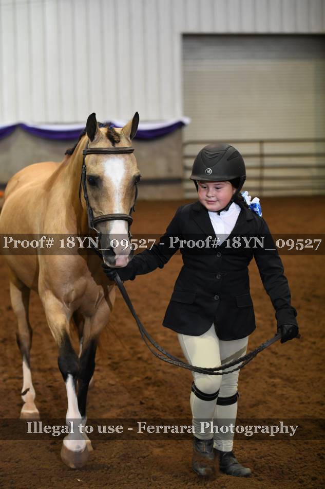 Proof 18YN_09527