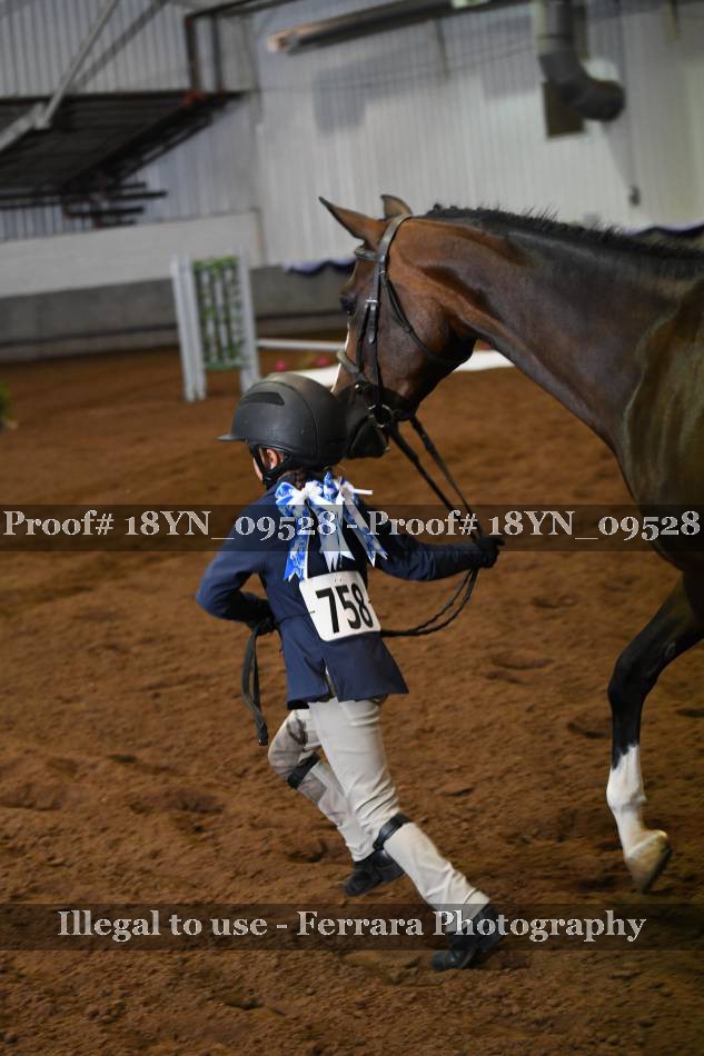 Proof 18YN_09528