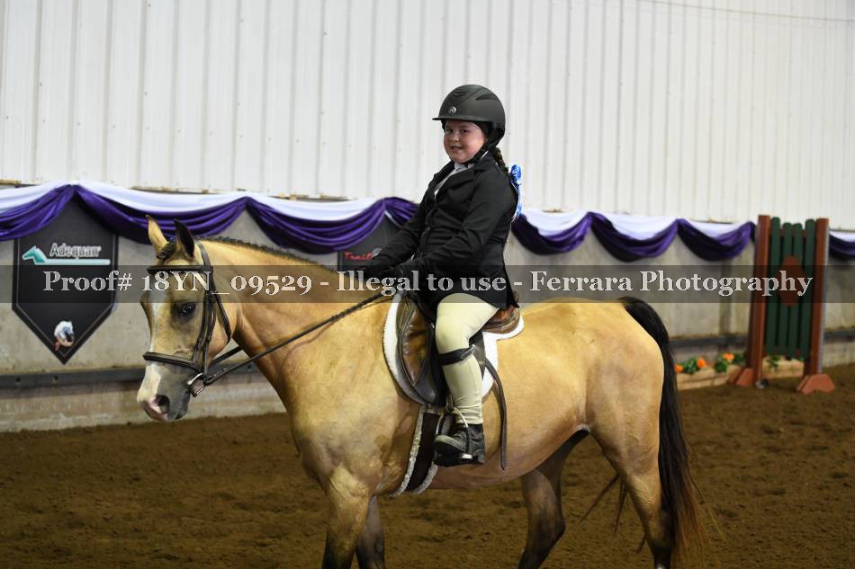 Proof 18YN_09529