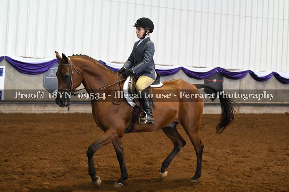 Proof 18YN_09534