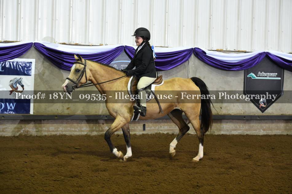 Proof 18YN_09535