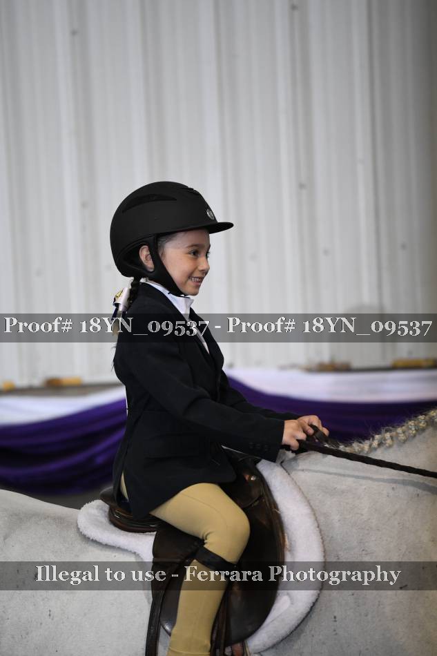 Proof 18YN_09537