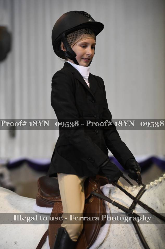 Proof 18YN_09538