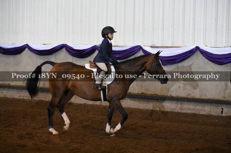 Proof 18YN_09540