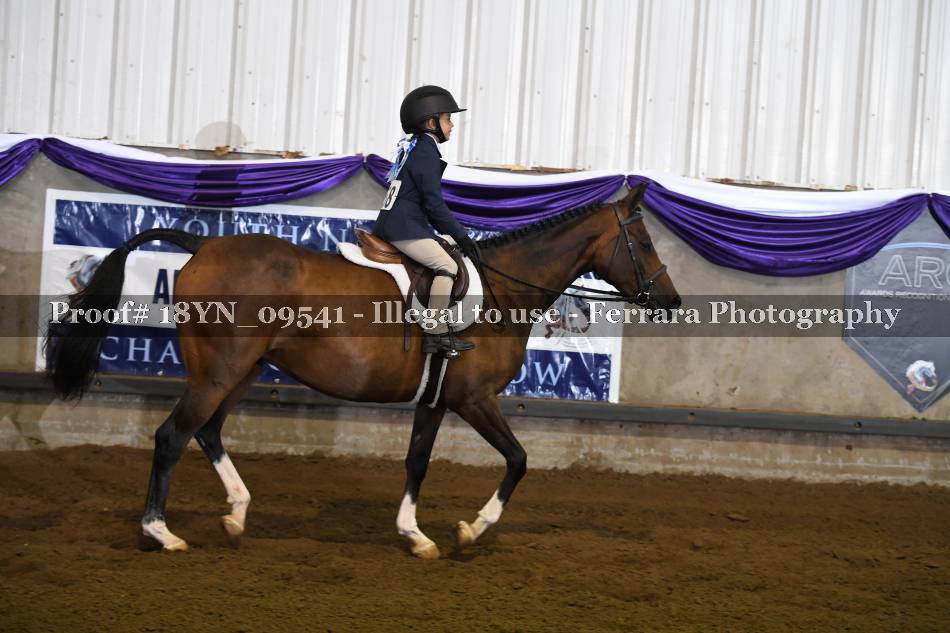 Proof 18YN_09541