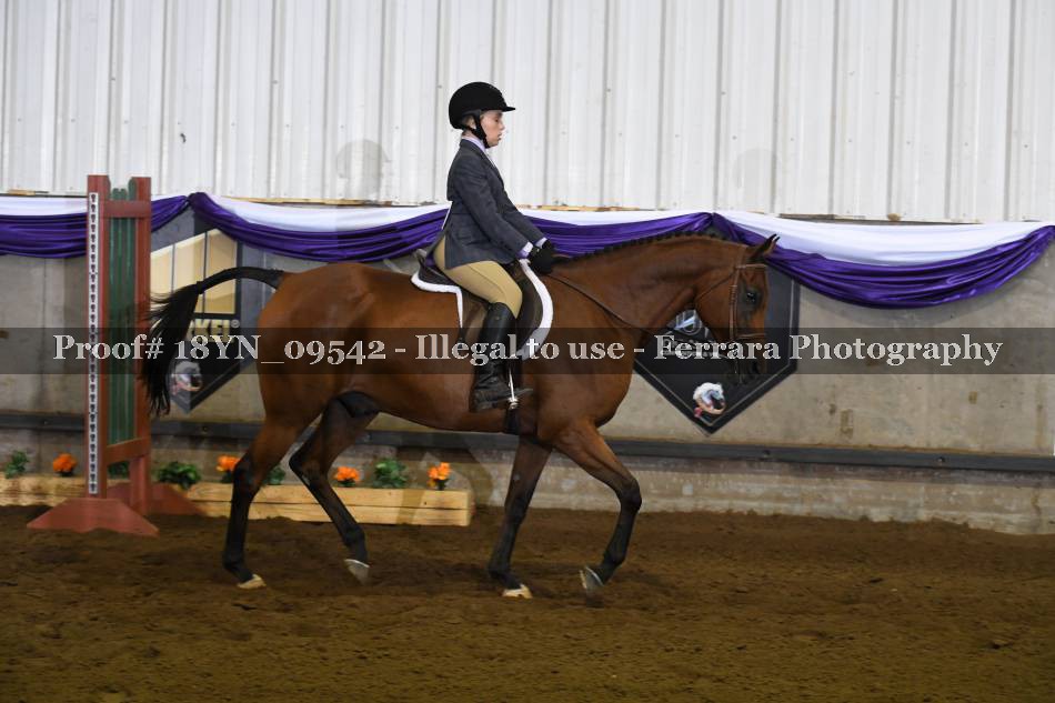 Proof 18YN_09542