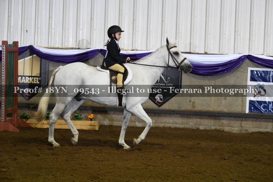 Proof 18YN_09543
