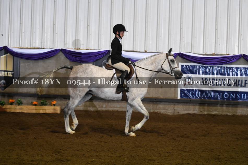 Proof 18YN_09544