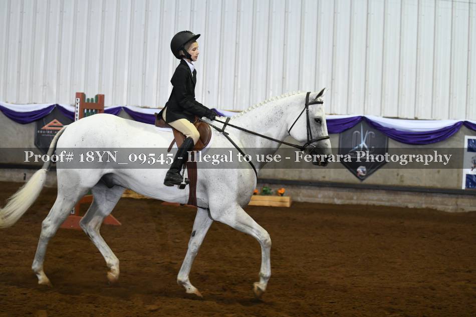 Proof 18YN_09545