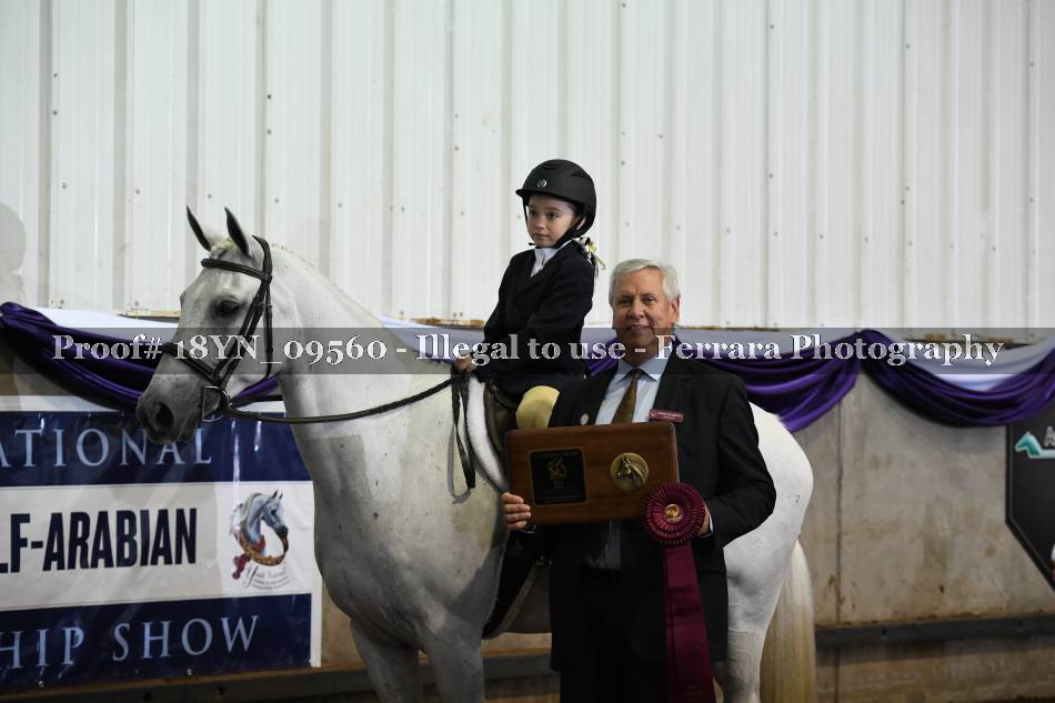 Proof 18YN_09560