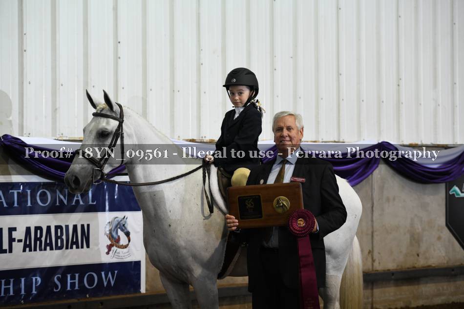 Proof 18YN_09561