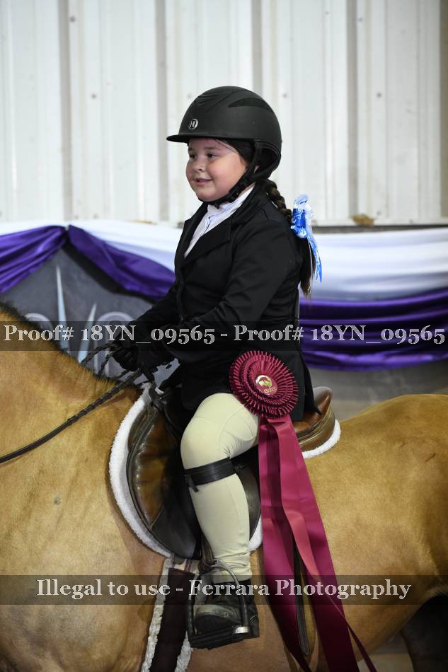 Proof 18YN_09565