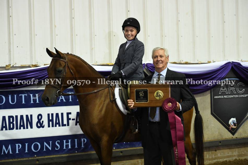 Proof 18YN_09570
