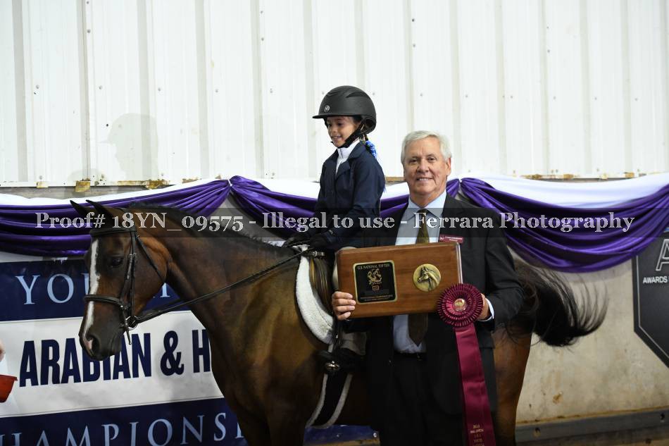Proof 18YN_09575