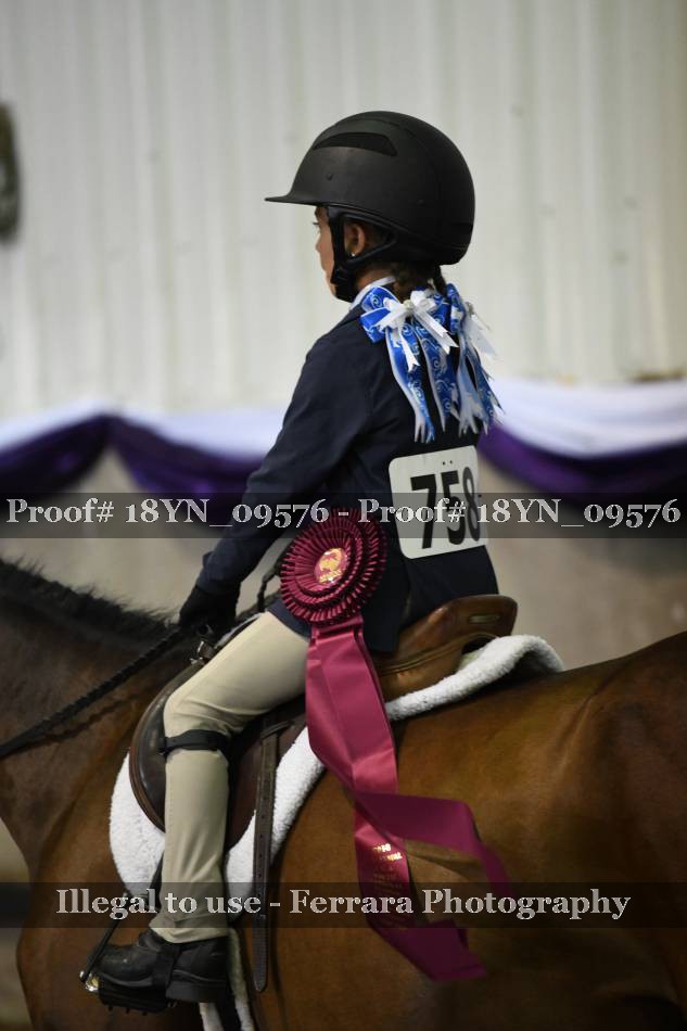 Proof 18YN_09576