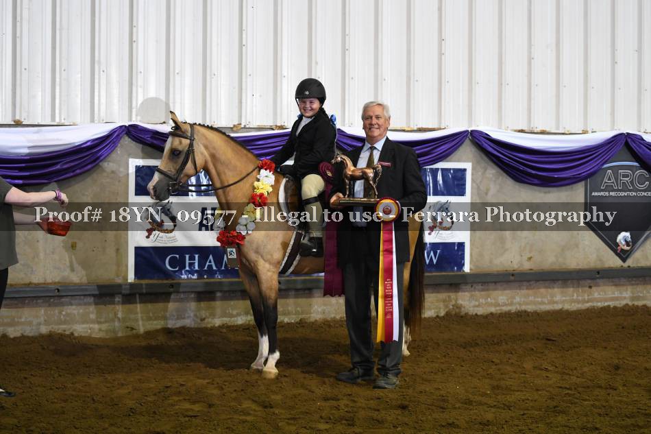 Proof 18YN_09577