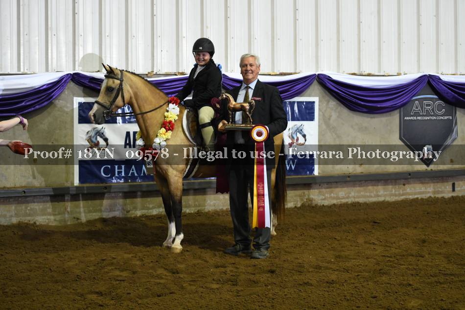 Proof 18YN_09578