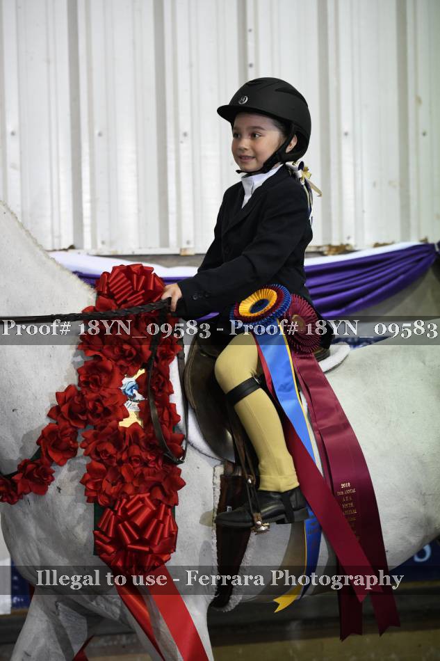 Proof 18YN_09583