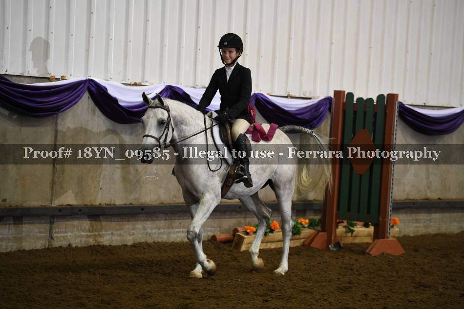 Proof 18YN_09585