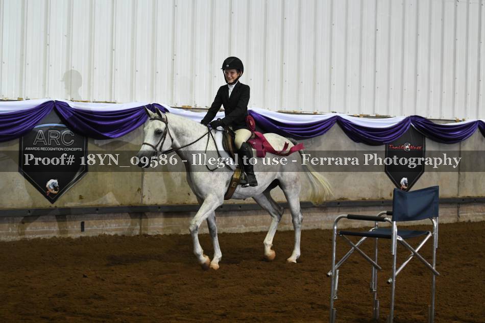 Proof 18YN_09586