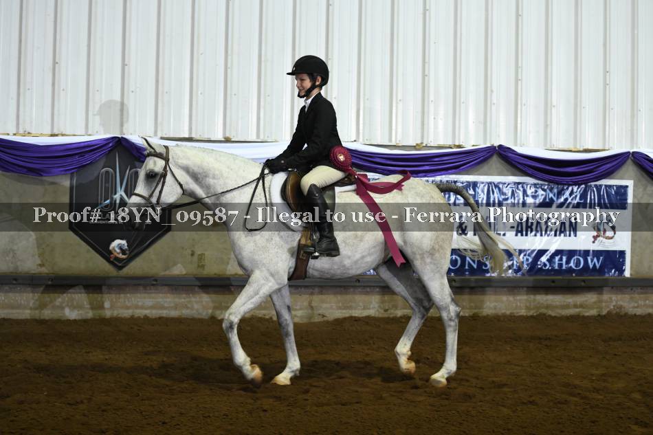 Proof 18YN_09587
