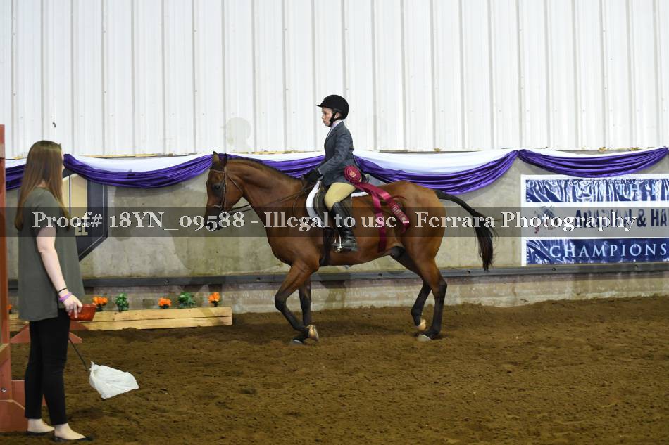 Proof 18YN_09588