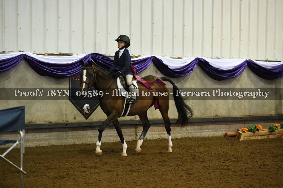 Proof 18YN_09589