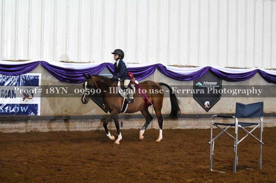 Proof 18YN_09590