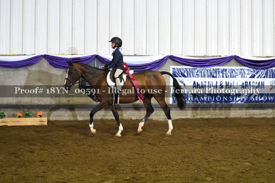 Proof 18YN_09591