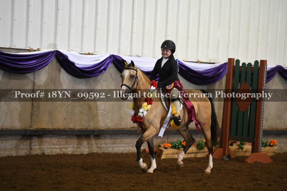 Proof 18YN_09592
