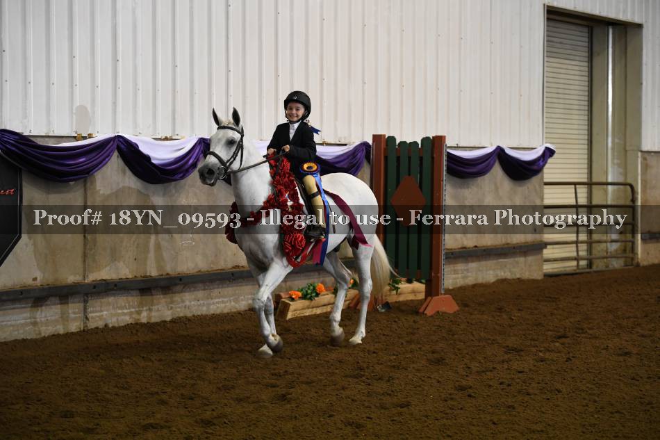 Proof 18YN_09593