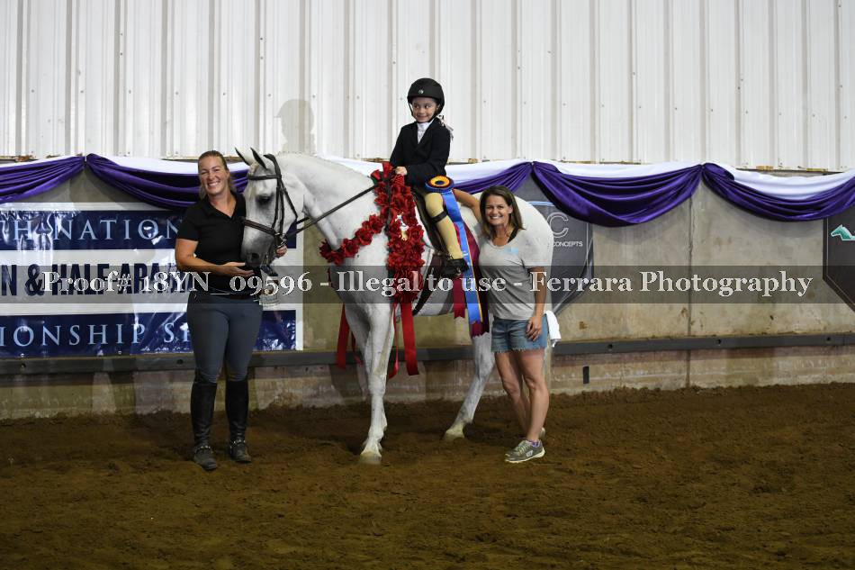 Proof 18YN_09596
