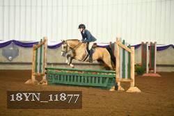 18YN_11877 proof