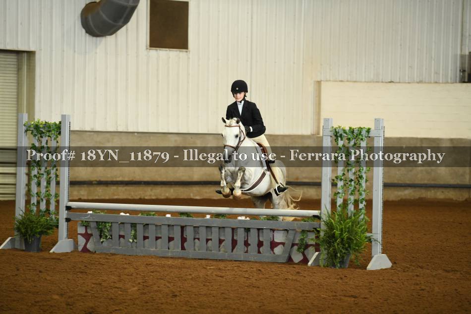 Proof 18YN_11879