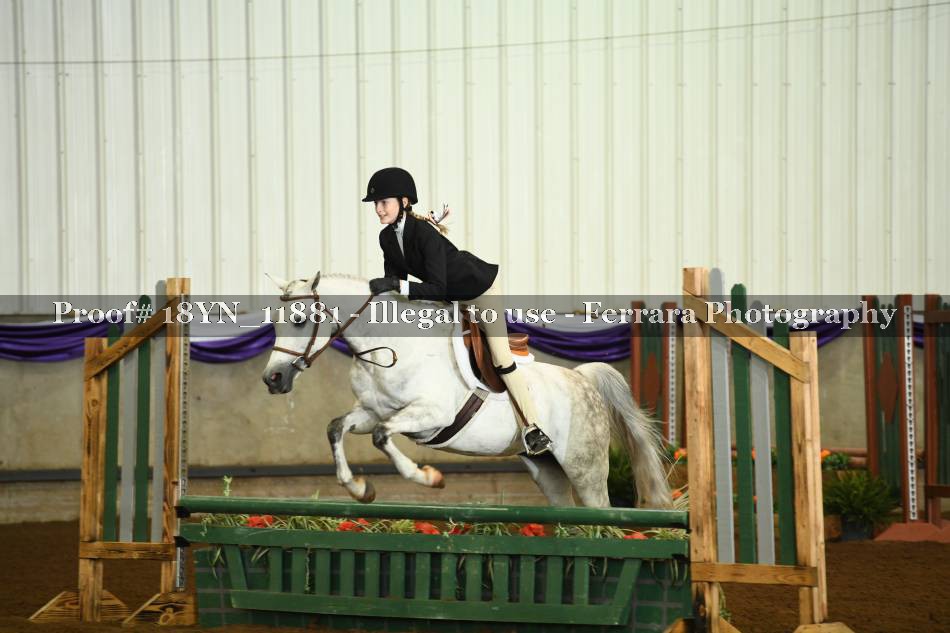 Proof 18YN_11881